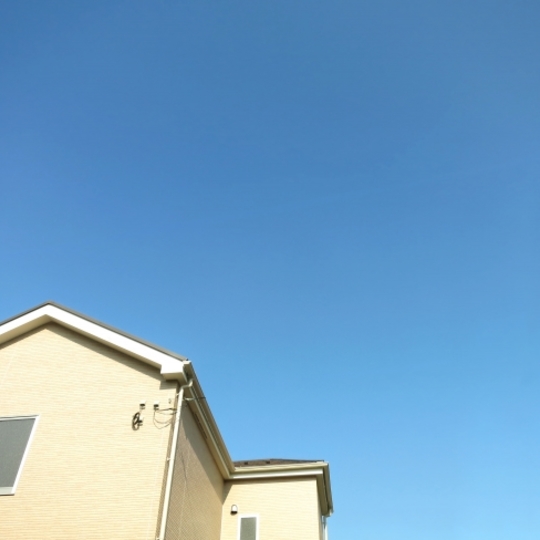 サンプルテキスト