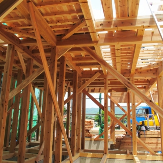 サンプルテキスト